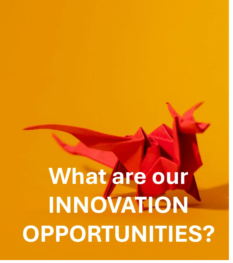 What are our innovation opportunities?