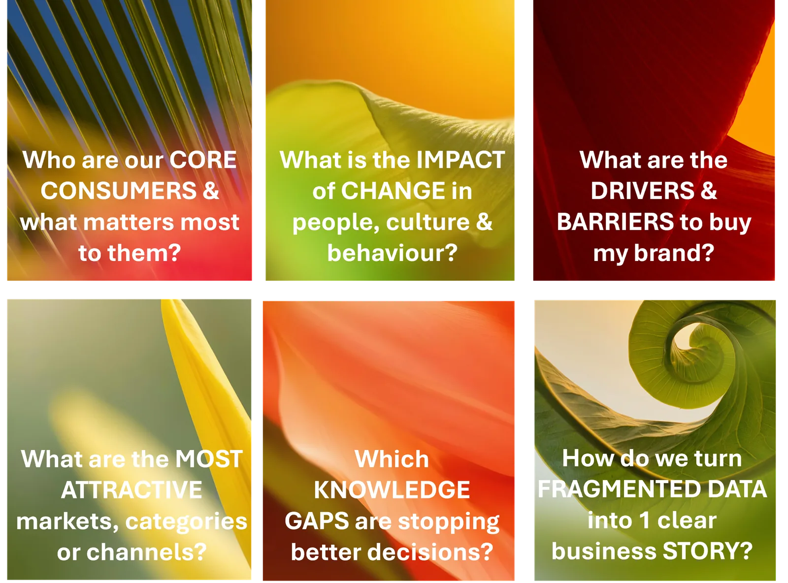 Business challenges we help you solve: Who are our core consumers and what matters most to them? What is the impact of change in people, culture and behaviour? What are the drivers and barriers to buy my brand? What are the most attractive markets, categories or channels? Which knowledge gaps are stopping better decisions? How do we turn fragmented data into 1 clear business story?