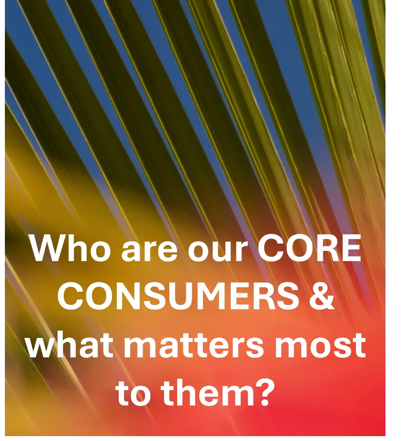 Who are our core consumers and what matters most to them?
