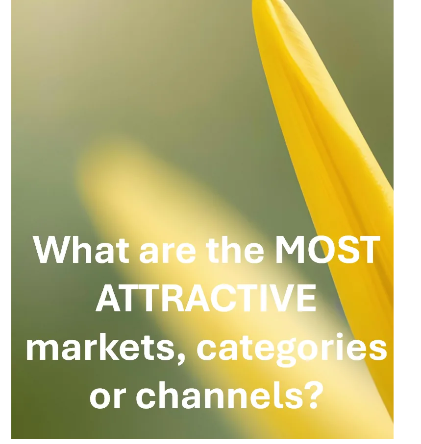 What are the most attractive markets, categories or channels?