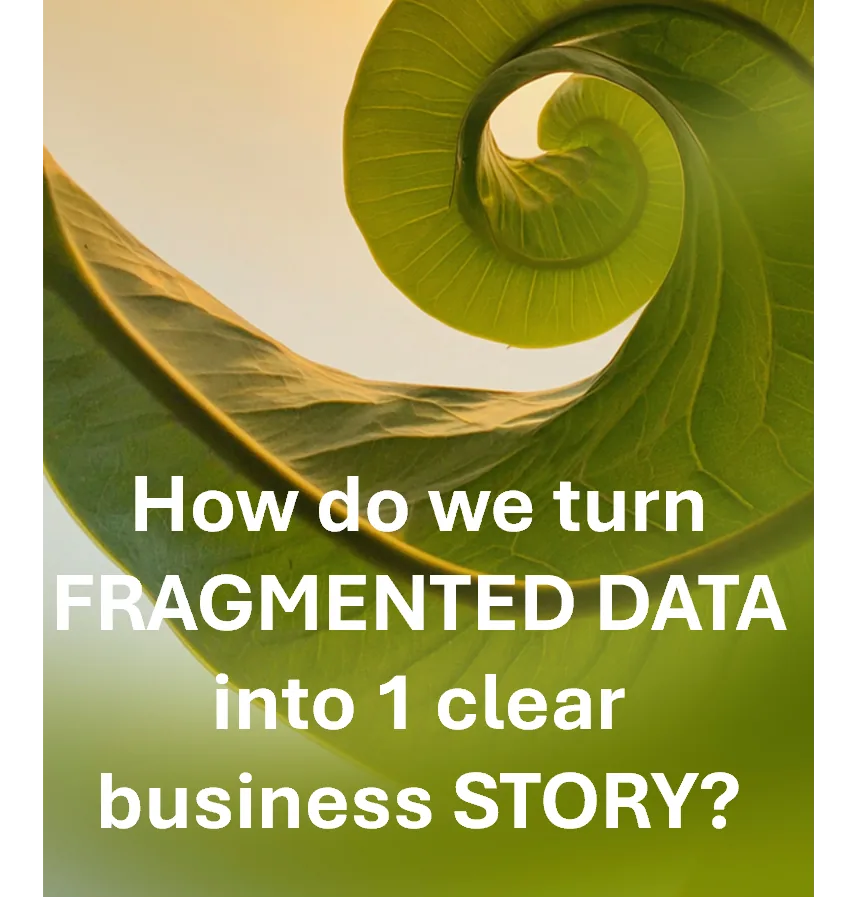 How do we turn fragmented data into 1 clear business story?